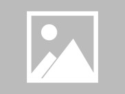 比格犬换毛期全攻略时间表护理技巧与常见问题解答